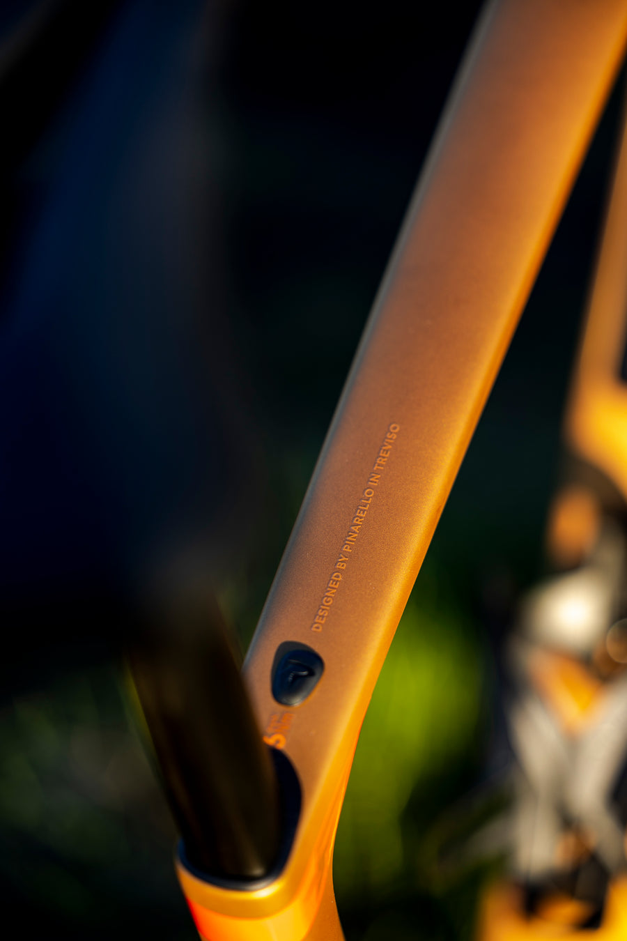 26 PINARELLO GREVIL F5 RIVAL AXS 1 x 13 NAMIB BROWN