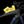 2025 TREK SPEED CONCEPT SLR 7 - EMERALD IRIS/TREK BLACK