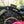 MUC-OFF CLAW BRUSH