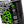MUC-OFF BIO CHAIN CLEANER 400ML AEROSL